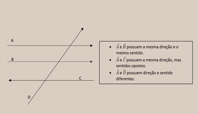 Vetores, sentido e direo